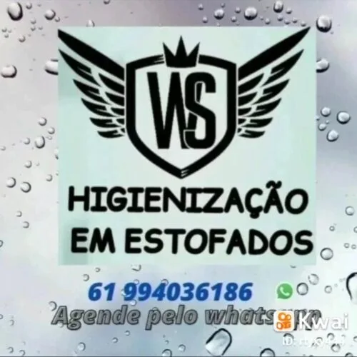 WS Higienização em Estofados Logo
